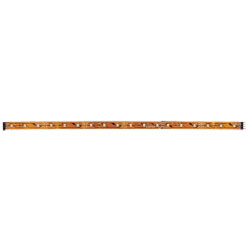 53204