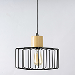 Bjorn 1-Light Pendant