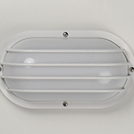 Bulwark 1-Light Outdoor Wall Sconce