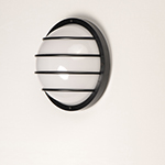 Bulwark 1-Light Outdoor Wall Sconce