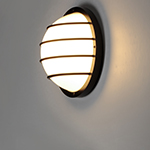 Bulwark 1-Light Outdoor Wall Sconce