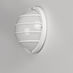 Bulwark 1-Light Outdoor Wall Sconce