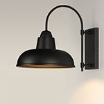 Industrial 1-Light Outdoor Wall Sconce