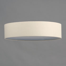 Prime 20" LED Flush Mount