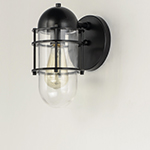 Seaside 1-Light Outdoor Wall Sconce