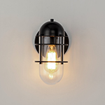 Seaside 1-Light Outdoor Wall Sconce