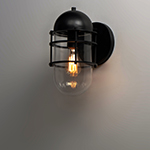 Seaside 1-Light Outdoor Wall Sconce Light