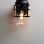 Seaside 1-Light Outdoor Wall Sconce Light