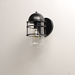 Seaside 1-Light Outdoor Wall Sconce Light