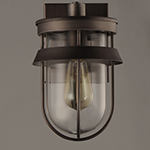 Breakwater 1-Light Outdoor Wall Sconce