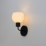 Coraline 1-Light Wall Sconce