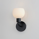 Coraline 1-Light Wall Sconce