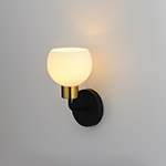 Coraline 1-Light Wall Sconce