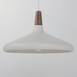 Nordic 1-Light Pendant w/LED Bulb