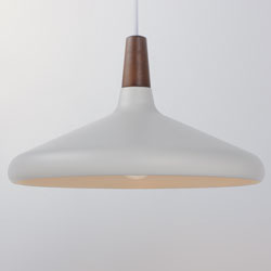 Nordic 1-Light Pendant w/LED Bulb