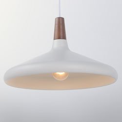 Nordic 1-Light Pendant w/LED Bulb