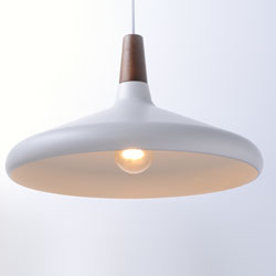 Nordic 1-Light Pendant w/LED Bulb