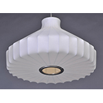 Cocoon 1-Light Pendant