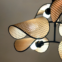 Bonnet 6-Light Chandelier