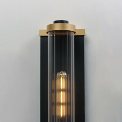 Opulent 1-Light Outdoor Wall Sconce