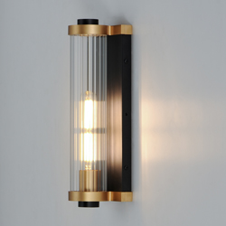 Opulent 1-Light Outdoor Wall Sconce