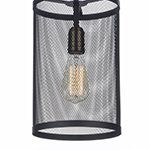 Palladium 1-Light Pendant w/Bulbs