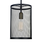 Palladium 1-Light Pendant w/Bulbs