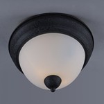 Taylor 2-Light Flush Mount