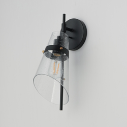 Finch 1-Light Wall Sconce
