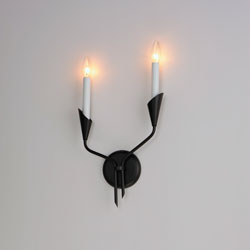 Calyx 2-Light Sconce