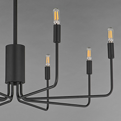 Abner 8-Light Chandelier