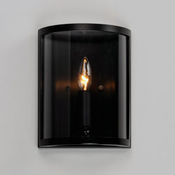 Sentinel 1-Light Wall Sconce