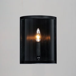 Sentinel 1-Light Wall Sconce