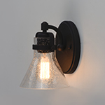 Seafarer 1-Light Wall Sconce