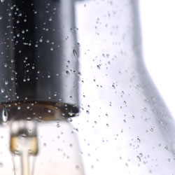 Seafarer 1-Light Pendant with Bulb
