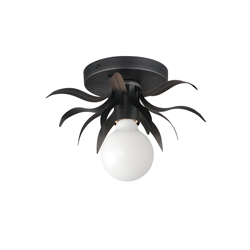 Paloma 1-Light Sconce