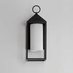 Aldous 1-Light Outdoor Sconce