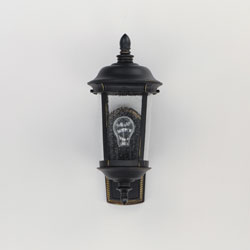 Dover Cast 1-Light Outdoor Wall Lantern