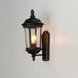 Dover Cast 1-Light Outdoor Wall Lantern
