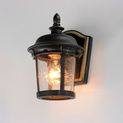 Dover Cast 1-Light Outdoor Wall Lantern