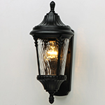 Sentry 1-Light Outdoor Wall Sconce