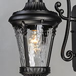 Sentry 1-Light Outdoor Wall Sconce