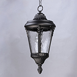 Sentry 1-Light Outdoor Hanging Pendant