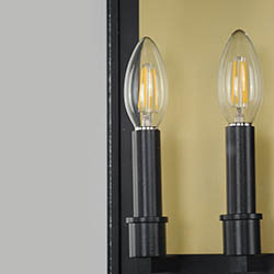 Manchester 2-Light Medium Outdoor Wall Sconce