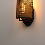 Caspian 1-Light Wall Sconce