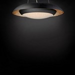 Iris 24" LED Pendant