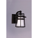 Calistoga 1-Light Outdoor Wall Lantern