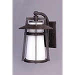 Calistoga 1-Light Outdoor Wall Lantern