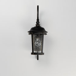 Dover VX 1-Light Outdoor Wall Lantern