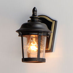 Dover VX 1-Light Outdoor Wall Lantern